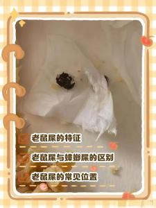 如何辨别家里有脏东西,家里貌似有些脏东西怎么办