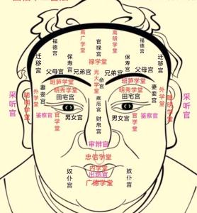 面相与命运图解