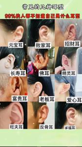 耳朵看人有富贵命,什么样的耳朵是富贵命?