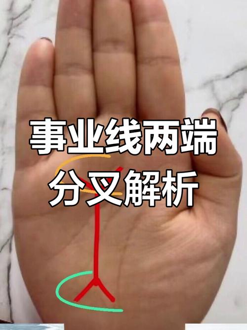 成功事业女强人手相 事业线末端分叉