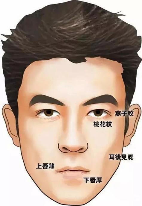 鼻梁宽的男人面相 桃花运旺且财运兴旺