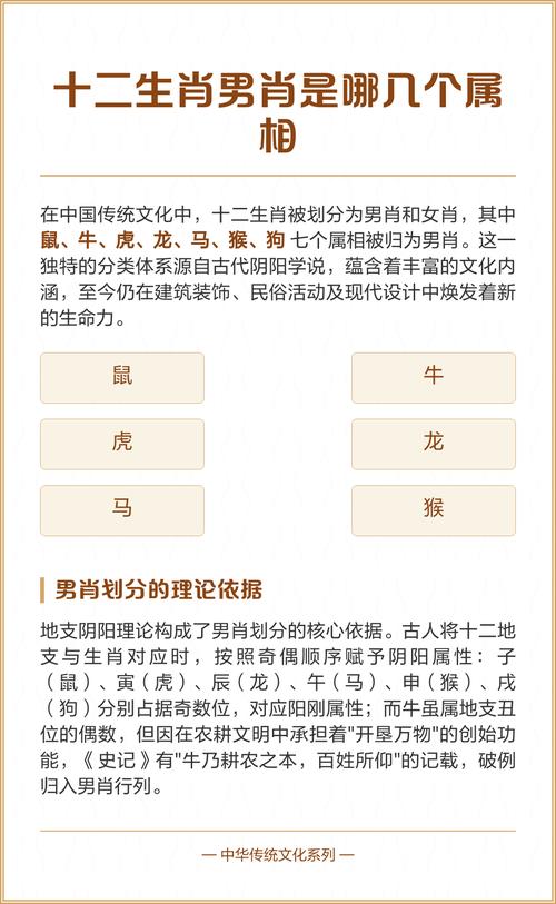 十二生肖里面什么是男肖 男的生肖是什么生肖