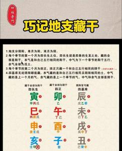 八字地支藏干对命局的作用