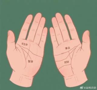 烦恼线怎么看 烦恼线详解