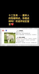 属羊人有什么性格特点