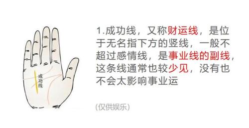 成功线分叉代表什么