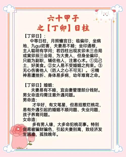 姻缘配对 丁巳日柱最佳婚配日柱