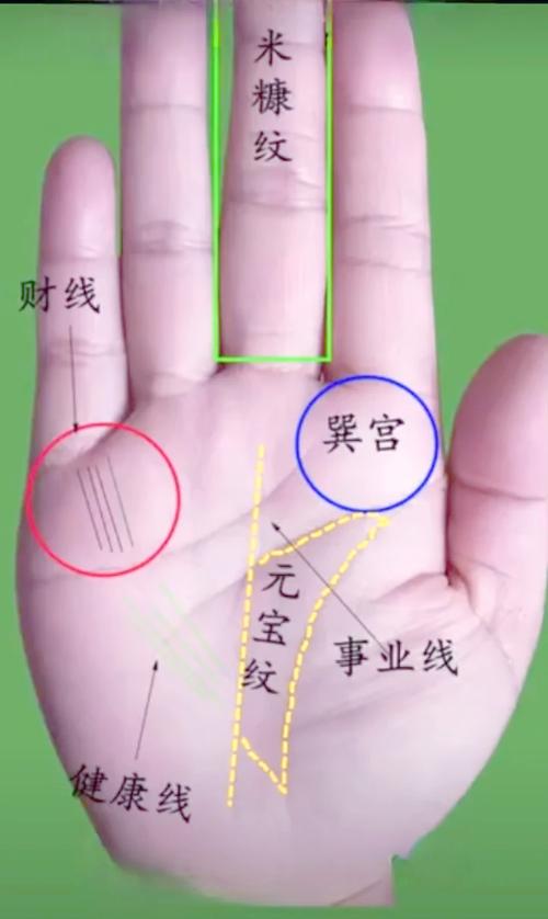 五种享福命的女人手相 手掌有金星纹财运旺盛