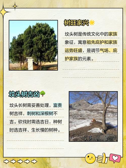 坟后有树好吗,坟上长树好不好有什么说法吗?