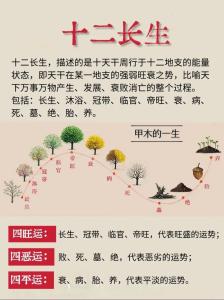 富贵命怎么修来的,什么叫前世修来的?