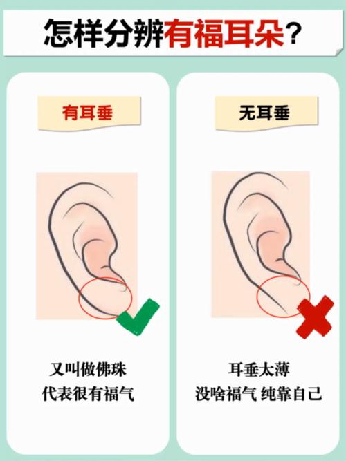 耳朵的面相学问：耳垂薄的人没有福气吗