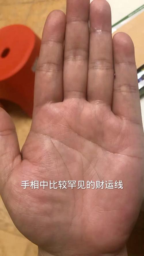 白手起家的手相特征 财富线较多