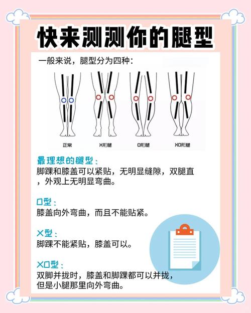 相术解读不同腿型的特点