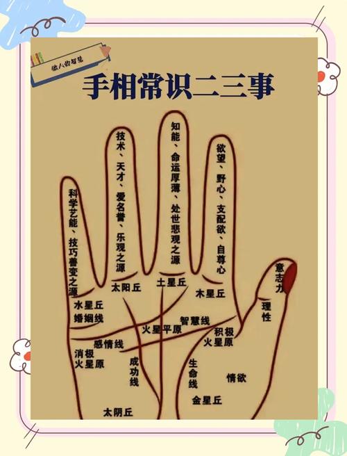 面相和手相看你的智慧与天分