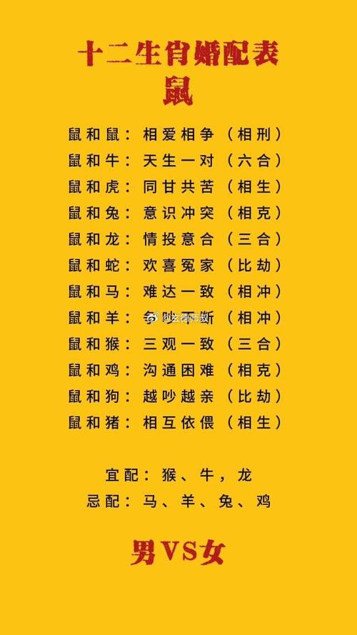 属鼠找对象属什么最佳 十二生肖鼠的最佳配对