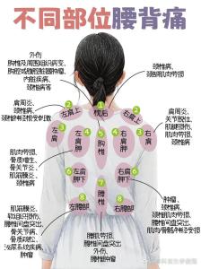 看腰背，知命运