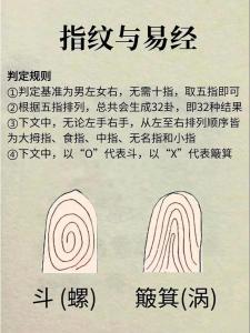 斗和簸箕的说法命运 手指上的斗和簸箕代表什么