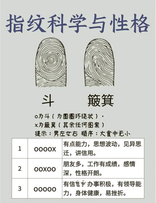 手指指纹看出你性格祸福以及事业
