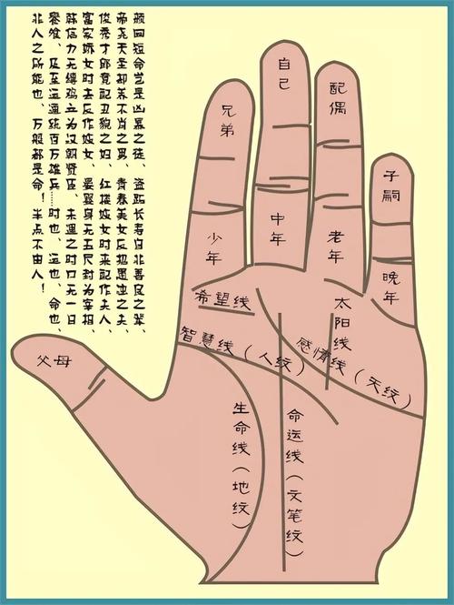 怎么看周易手相?