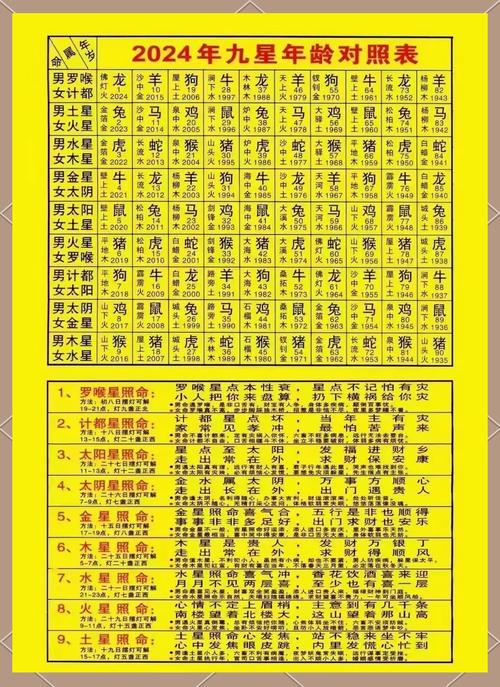 2029年是什么年什么命理