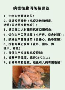七月猪犯月怎么处理