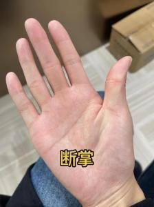 左右手断掌纹的女人 女人断掌做事执着