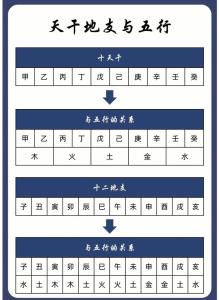 什么是四柱八字命局