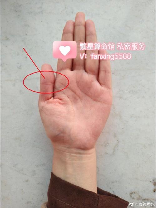 凤眼纹和夫子眼有什么区别