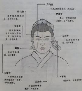 三十八贵骨图解 双峰骨财运旺