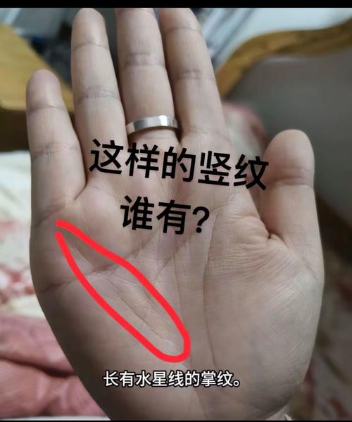 财运旺的手相标志 水星线清晰可见