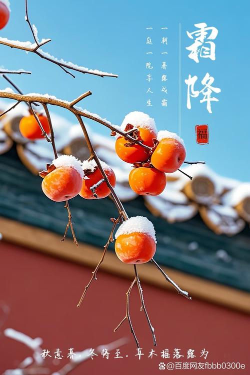 2020年霜降出生的人命运坎坷是真的吗