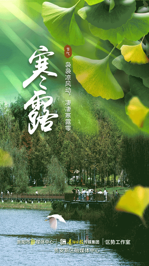 寒露出生的人命运 寒露生人命运解析