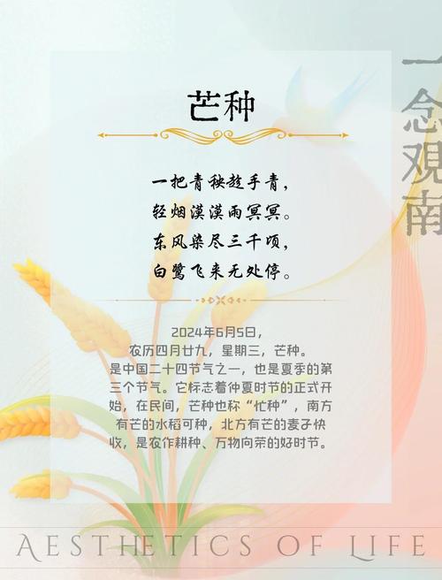 芒种出生的人命好苦 不断奋斗以此改变命运