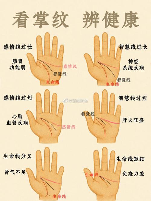 不幸的手相图解2020版