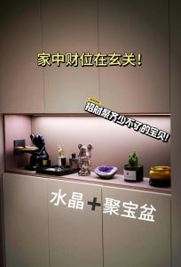 在财位放什么比较好,客厅财位放什么好