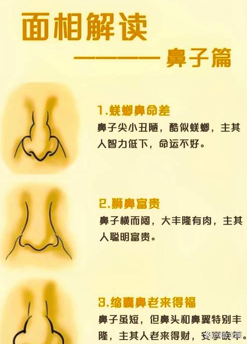 如何从鼻子面相看婚姻好坏