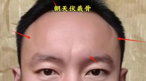命中带贵龙的男人面相 庭骨隆起