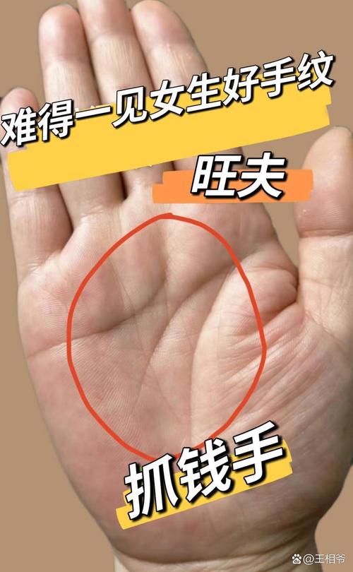 什么样的手相大富大贵效果图 若手掌厚实有弹性的人身体健康