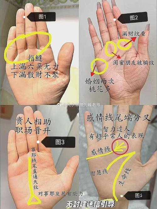 女人看手相测命图解 真假凤尾纹手相图解