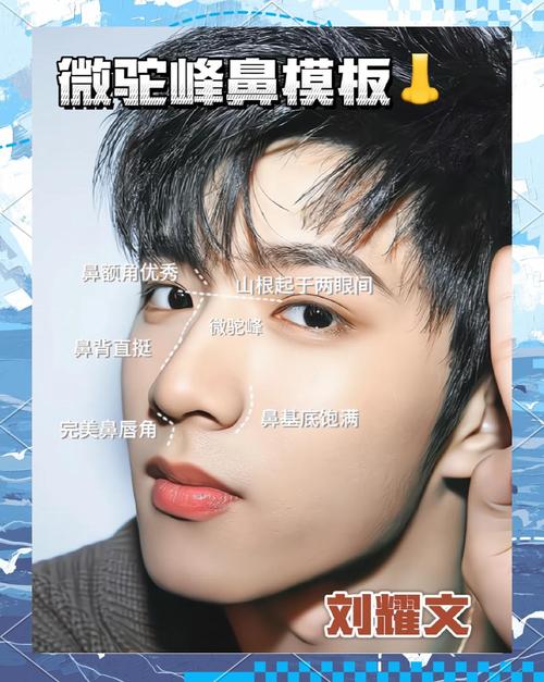 驼峰鼻的男人好不好 驼峰鼻男人福财浅薄