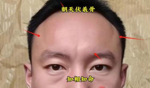 长大能当官孩子的面相 头有伏羲骨