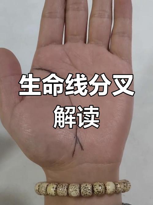 生命线分叉什么意思