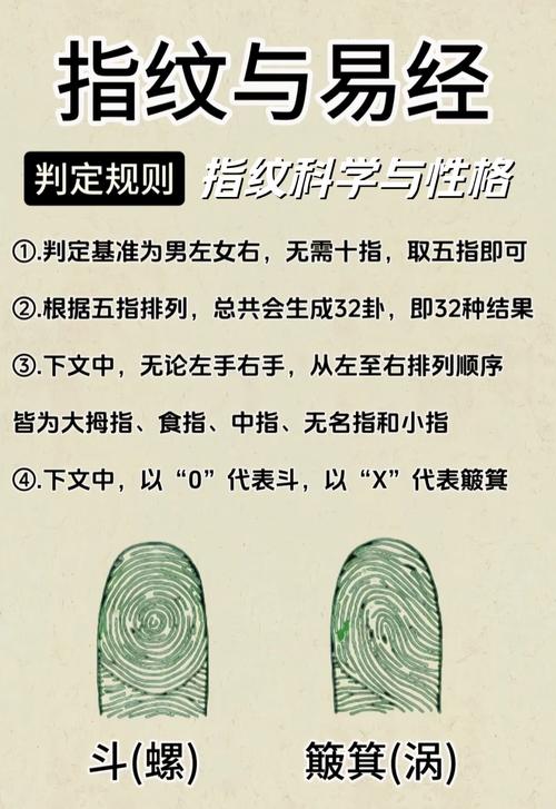 大拇指 大姆指指纹手相图解