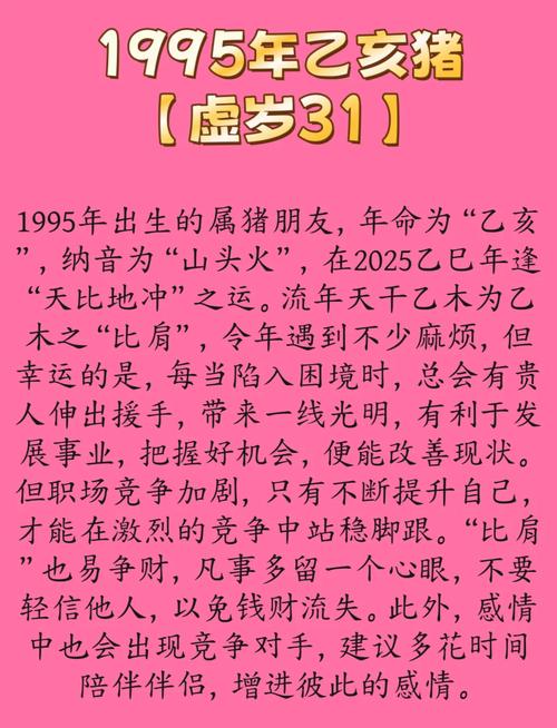 1995属猪人的大运流年是什么