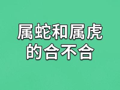 86年的虎妈生蛇宝宝好吗