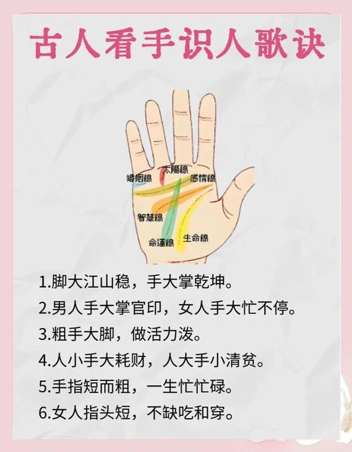 从双手特征看你的命运性格是啥样？