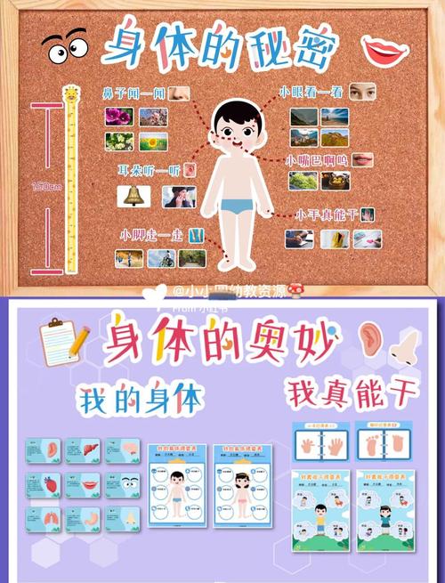 不同的部位分别可以看到哪些事？