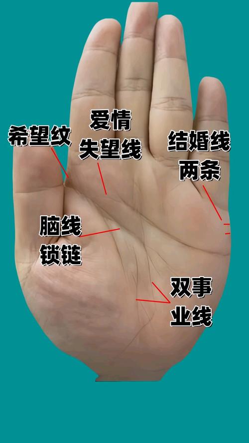 能干大事业的女人手相有什么特点 事业线清晰
