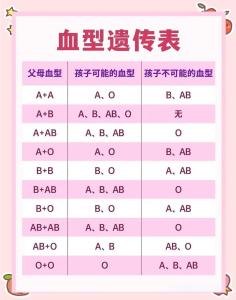 AB型血男生和B型血女生配对