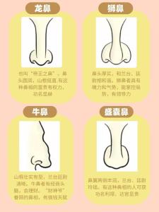 鼻子看相：鼻子高挺人的性格特征